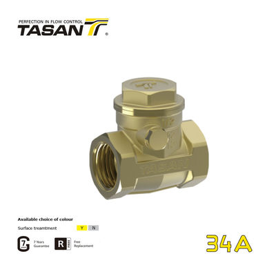 detail of BS21 Thread Swing Brass Check Valve For Well Pump Corrosion Proof 34A