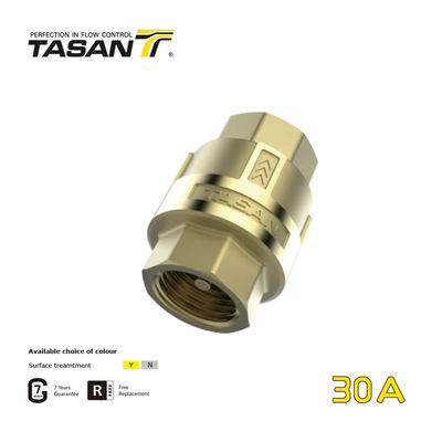 detail of ISO228 Thread Brass Universal Check Valve 30A