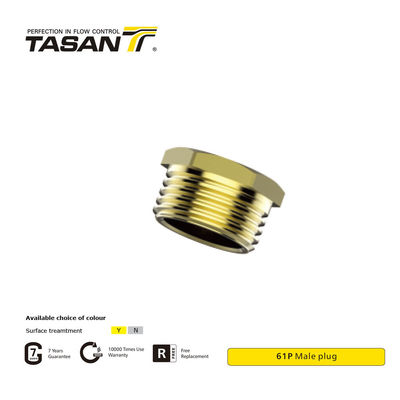 detail of DIN EN 10226-1 Thread Brass Pipe Fittings Brass Male Plug 61P Rustproof